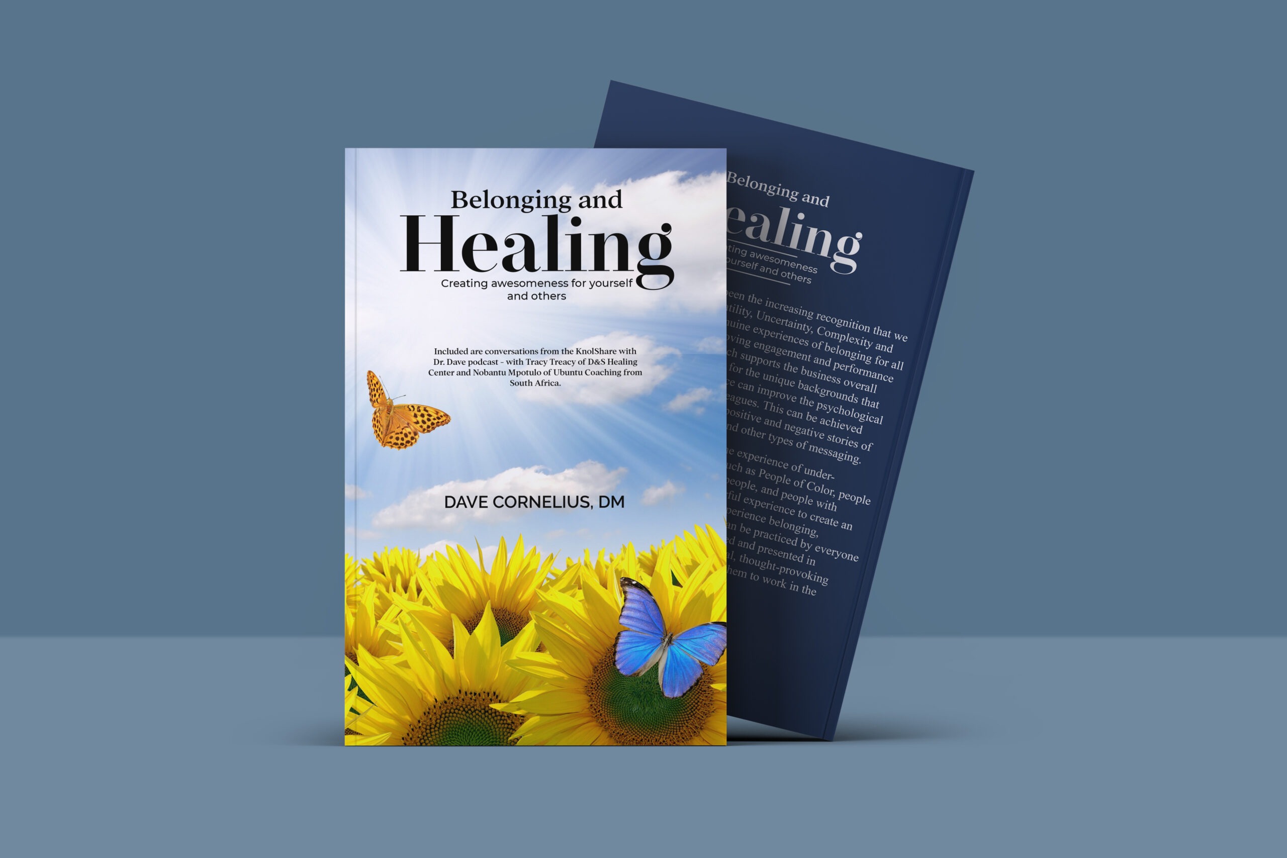 Belonging and Healing 3D Book Cover